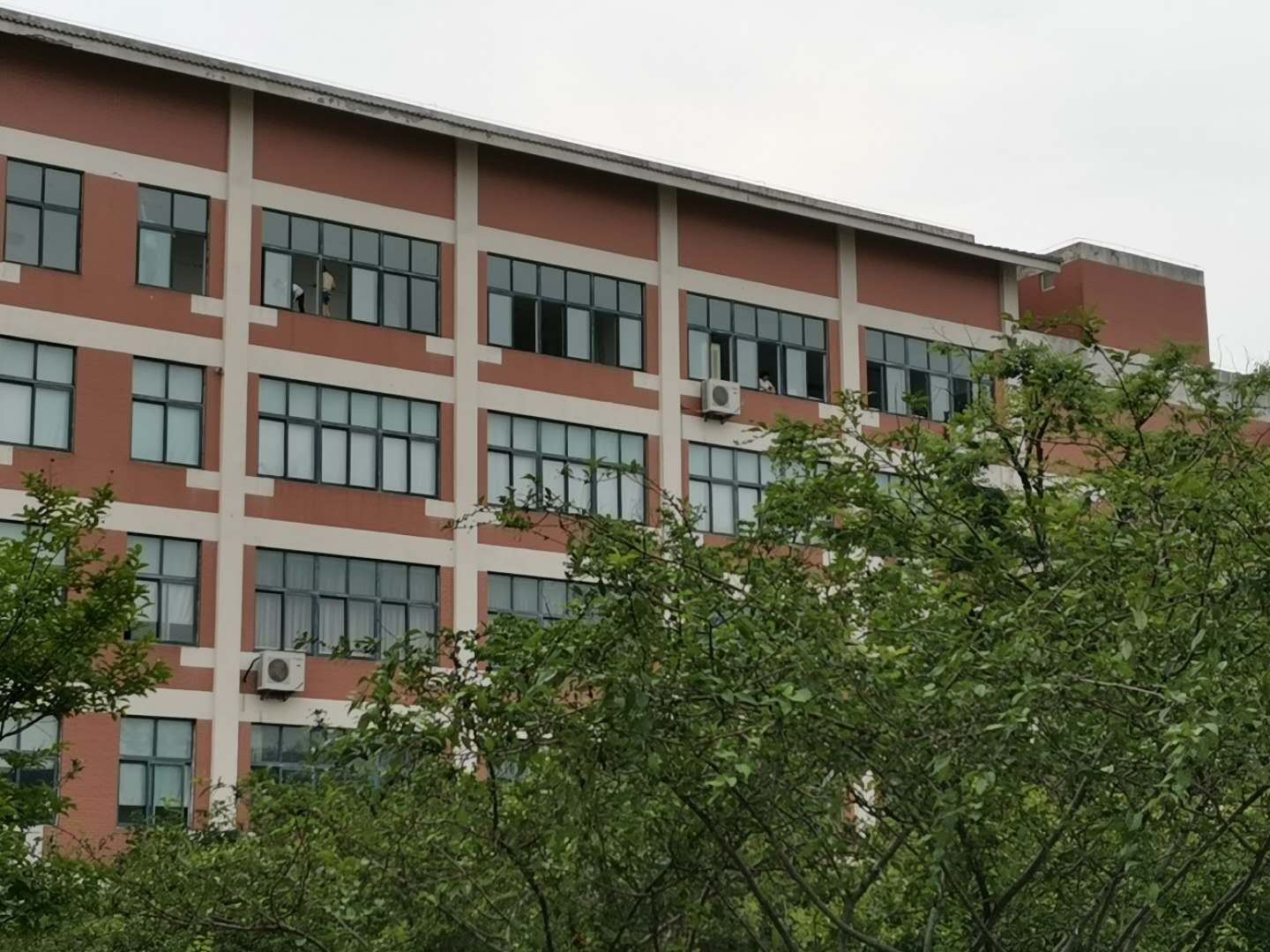 苏州相城区御窑小学保洁清洗